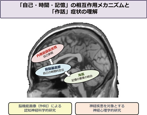 「自己・時間・記憶」の相互作用メカニズムと「作話」症状の理解　イメージ図